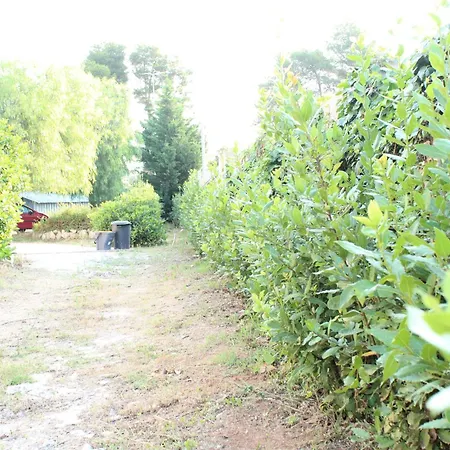 Boat Dreams , Garden Relax Apartment Matino Exterior photo
